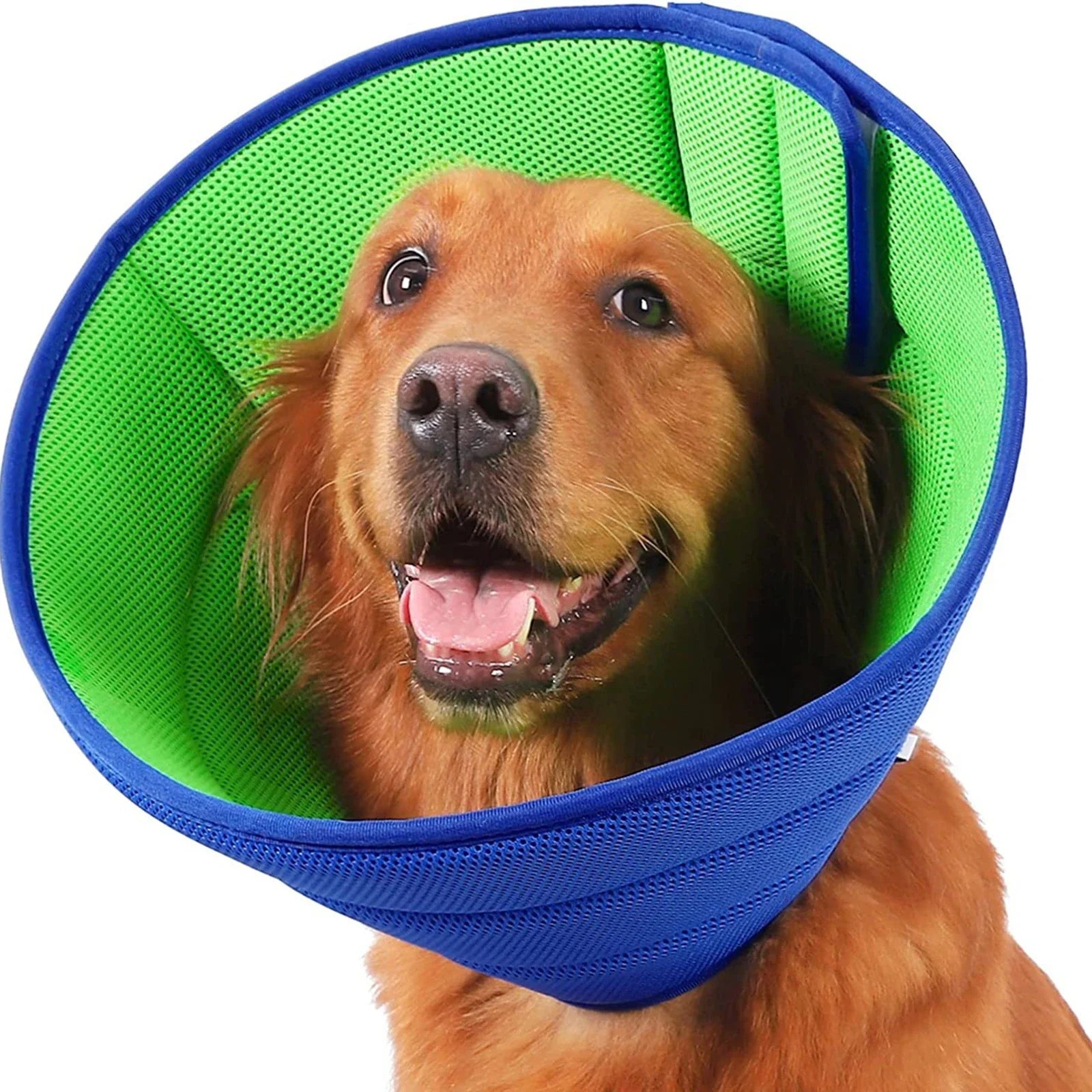 Dog Cone Collar