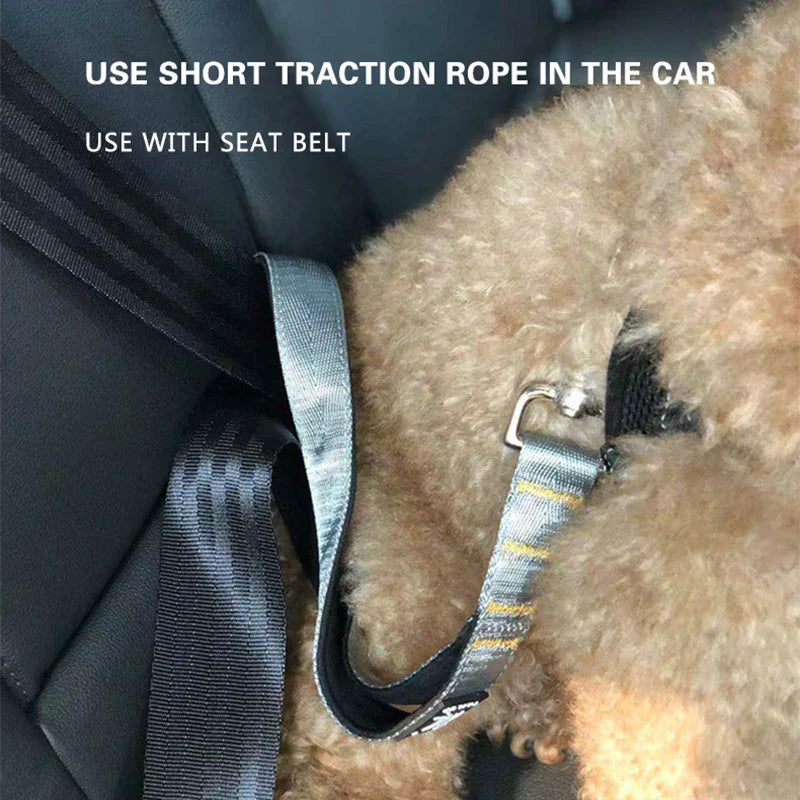 Short Dog Leash