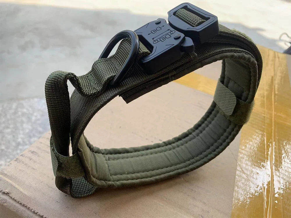 Dog Training Collar