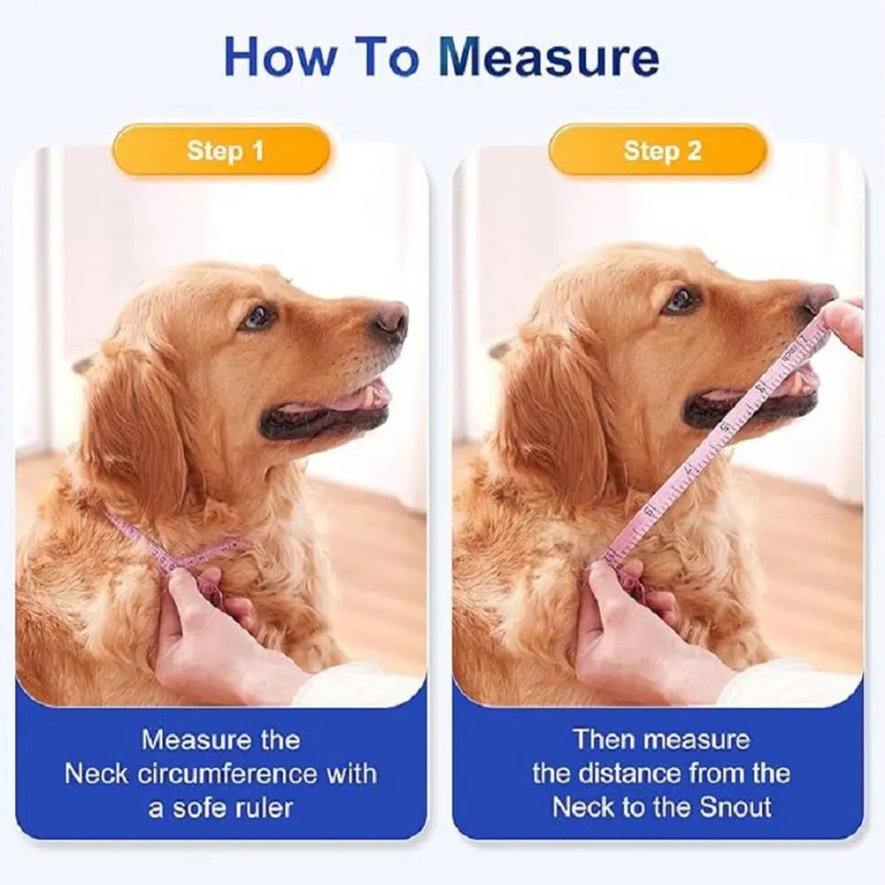 Dog Recovery Cone