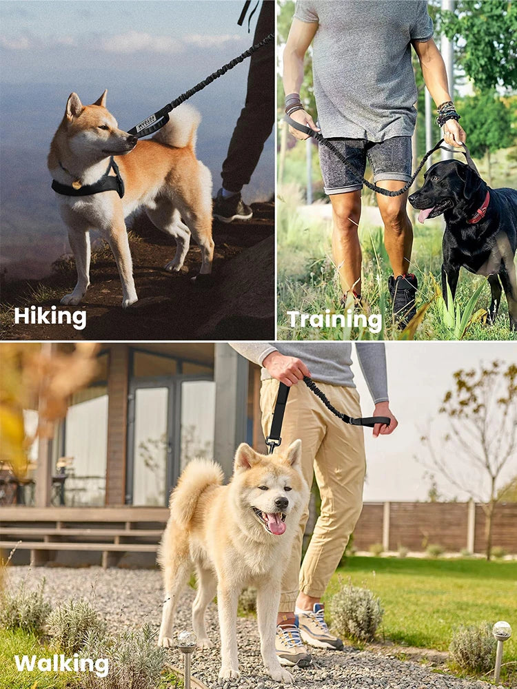 Military Dog Leashes