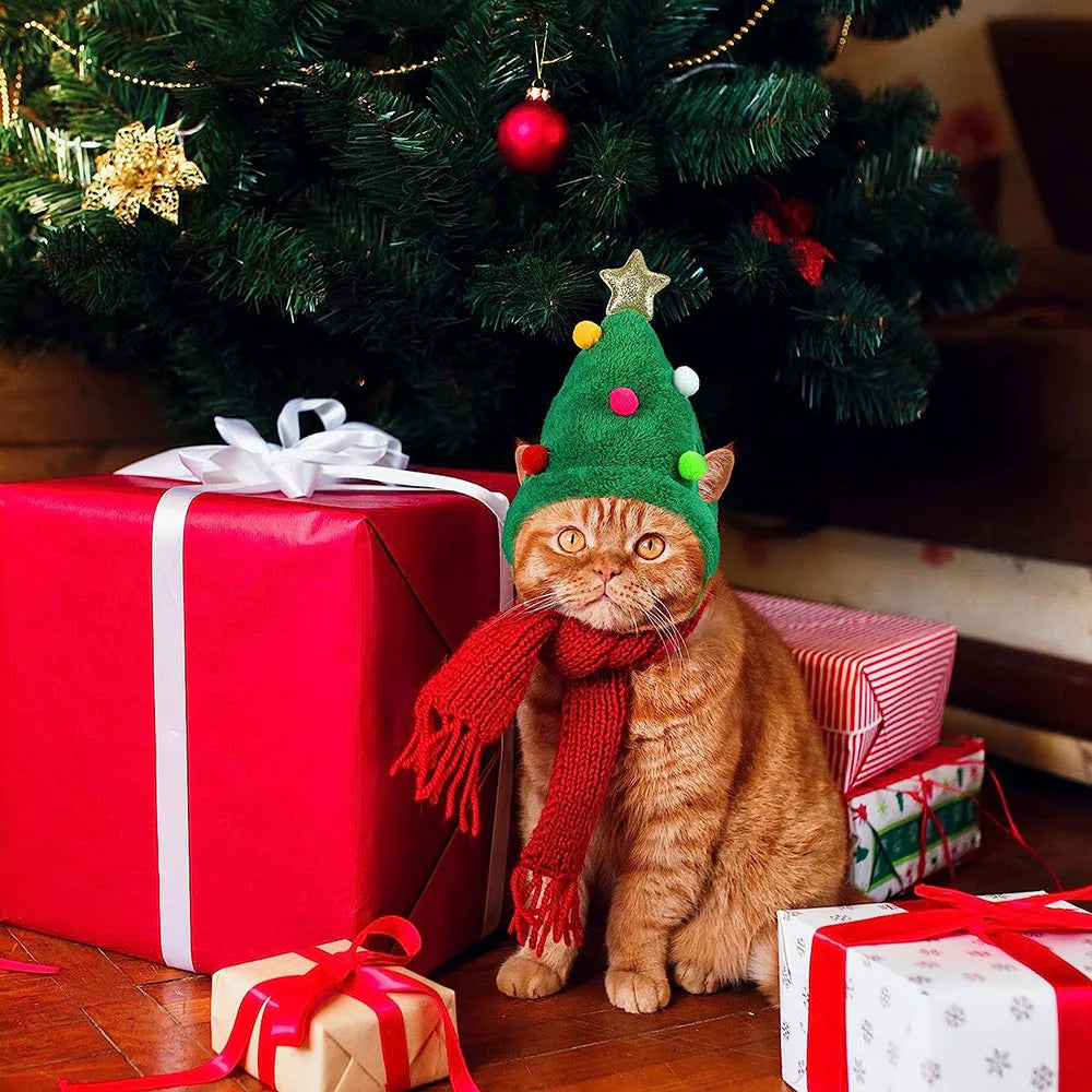 PetCare Christmas Hat for Pets