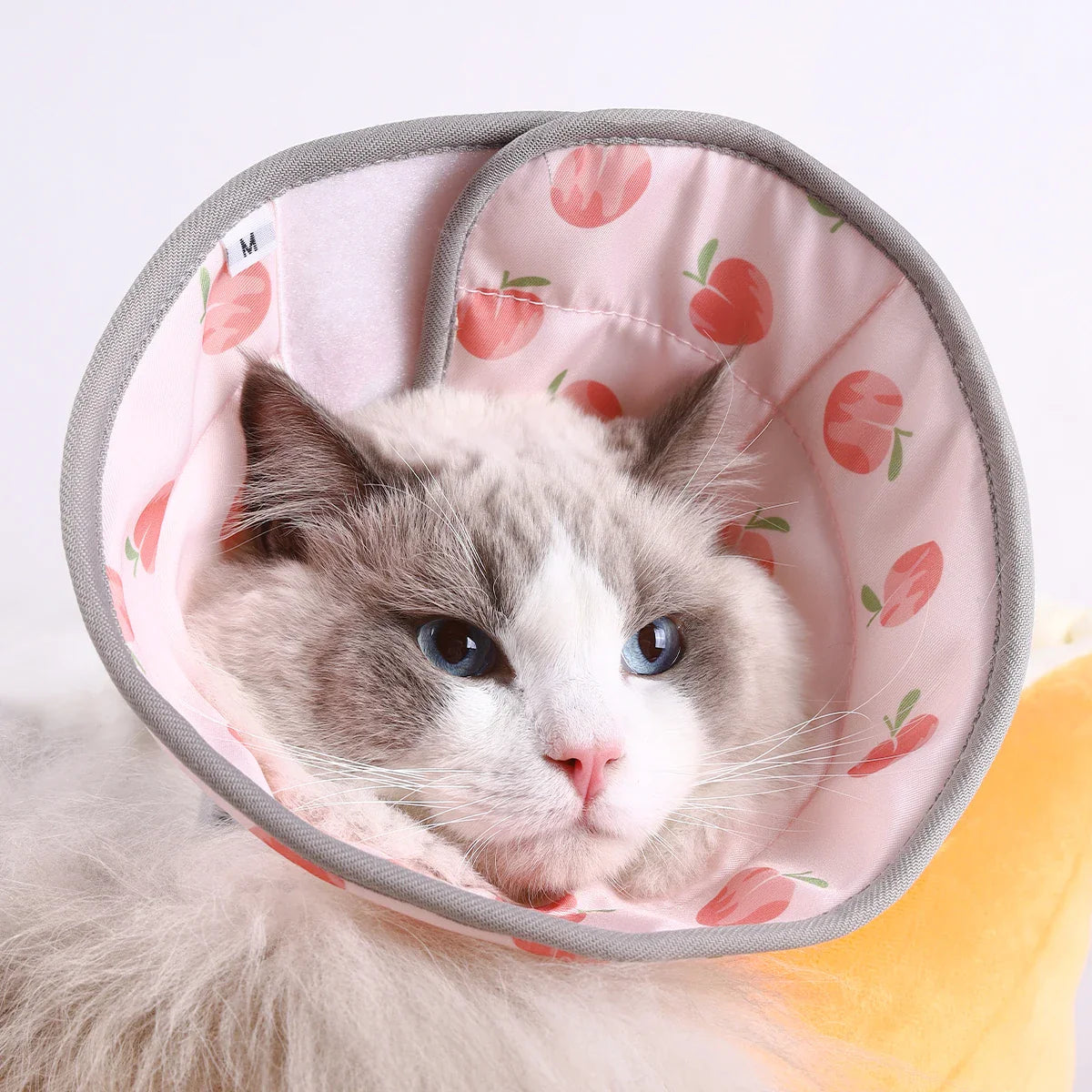 1pc Soft Cat Recovery Collar