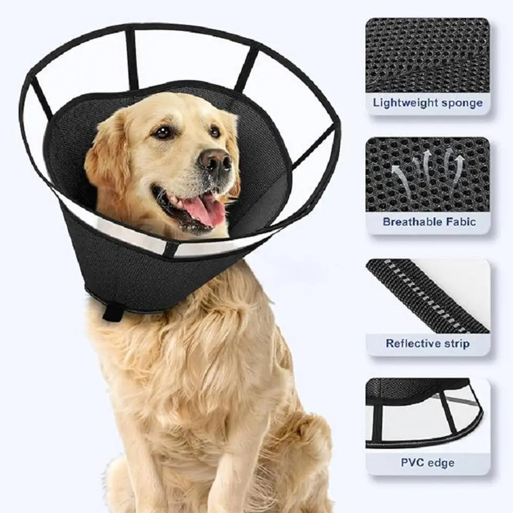 Dog Recovery Cone