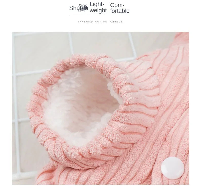 Warm Winter Clothes for Kittens