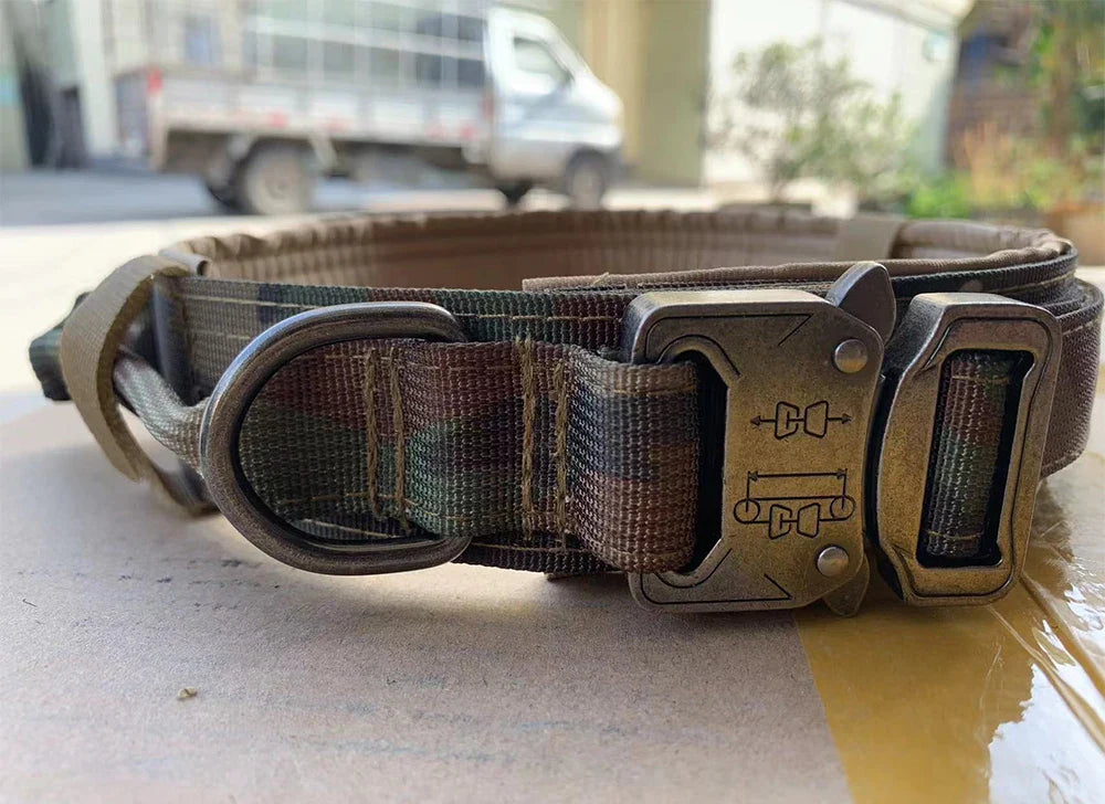 Dog Training Collar