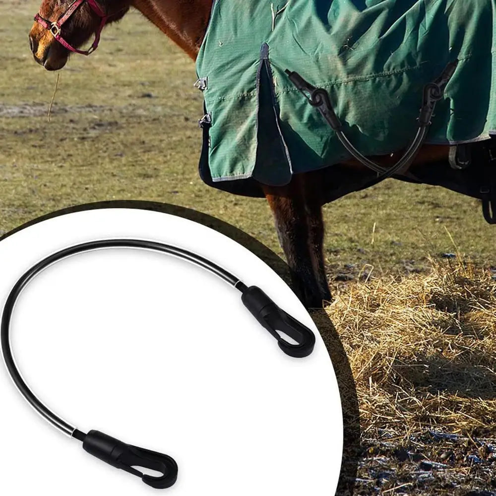 Horse Blanket Sheet