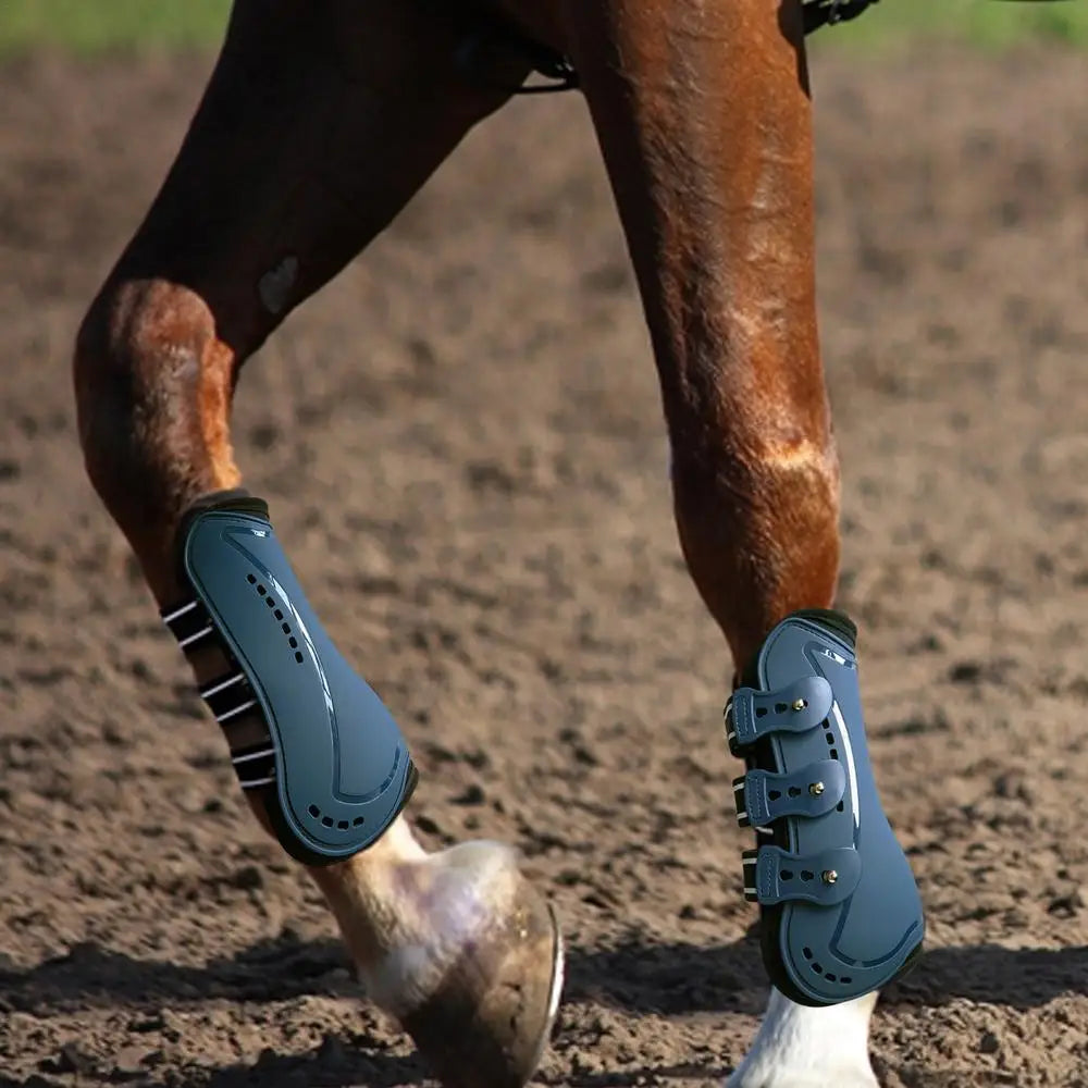 Sport Boots for Horses