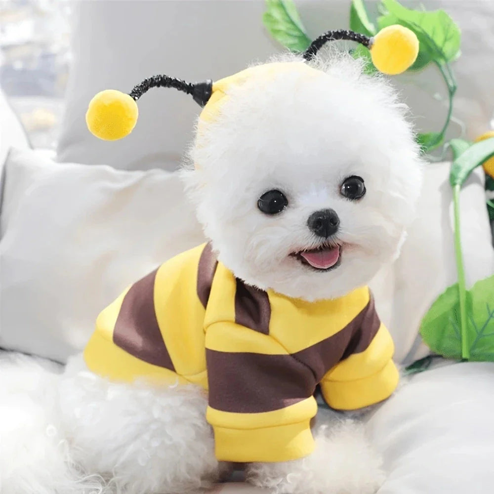 Bee Pet Puppy Coat Apparel Outfit