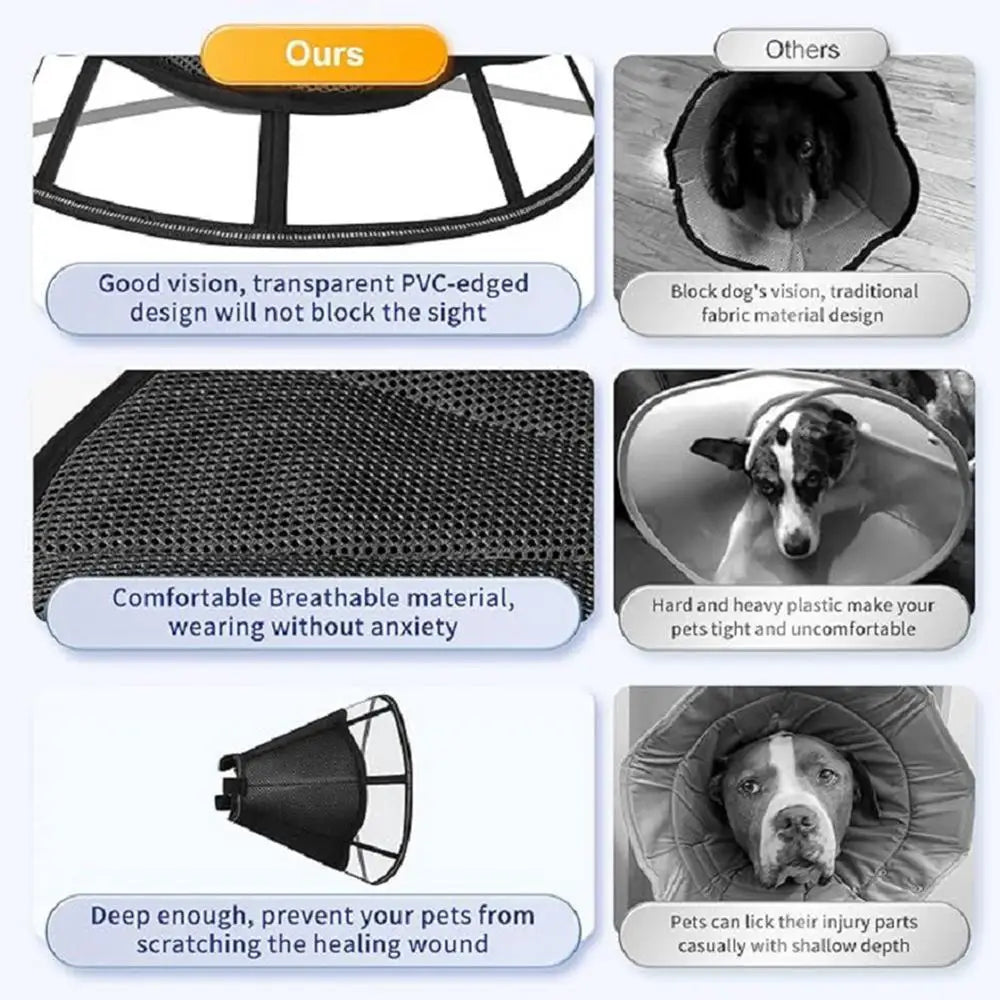 Dog Recovery Cone