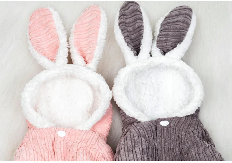 Warm Winter Clothes for Kittens