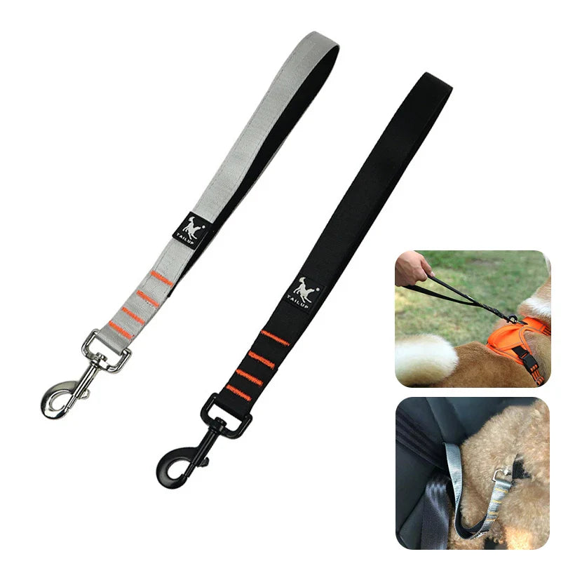 Short Dog Leash