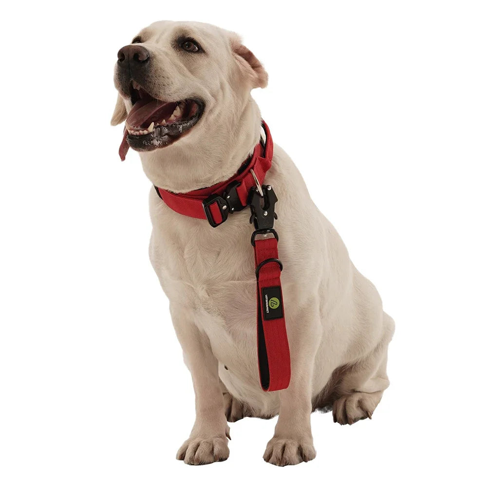 Short Dog Leash
