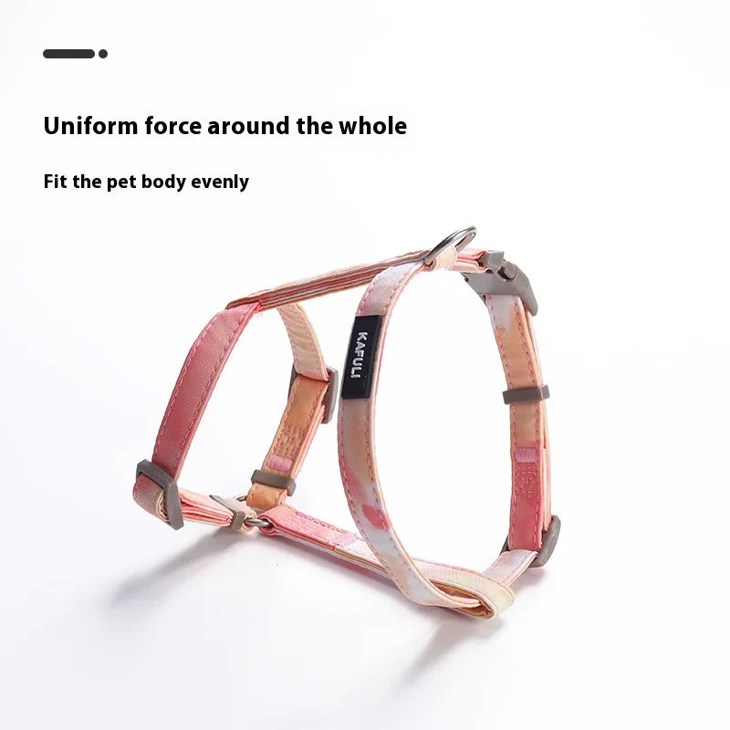 Gradient Cat & Small Dog Harness Set