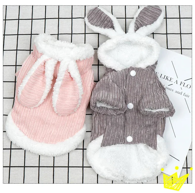 Warm Winter Clothes for Kittens