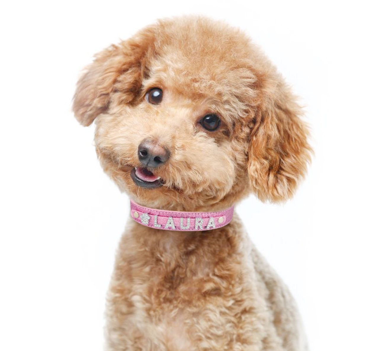 Fami Petcare Personalized Bling Collar