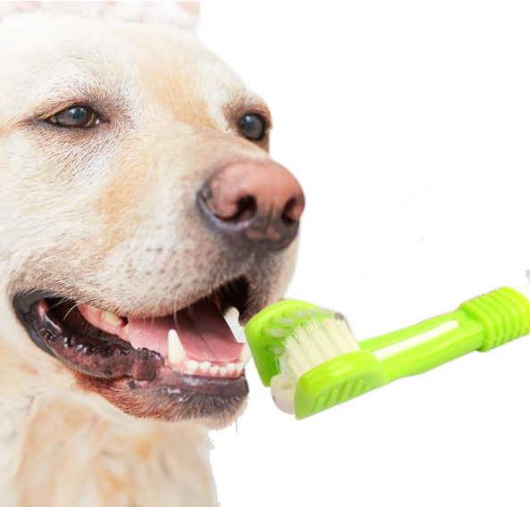 Fami Petcare Toothbrush