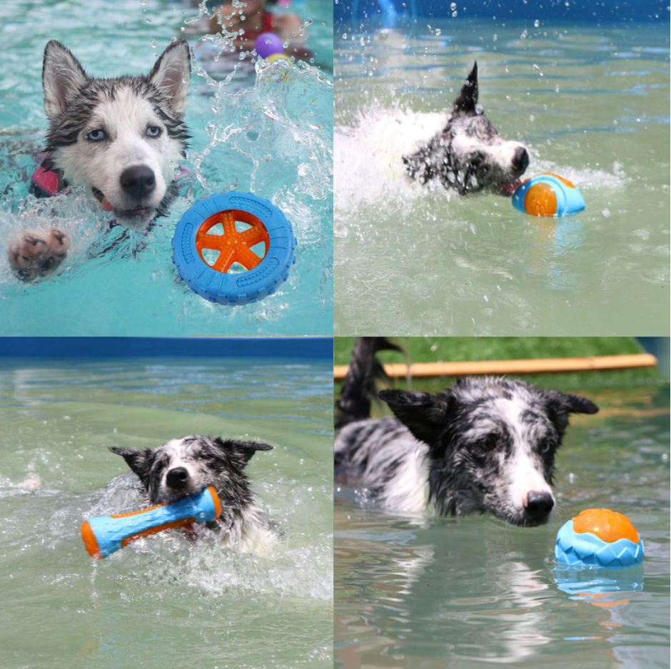 Fami Petcare Interactive Toys