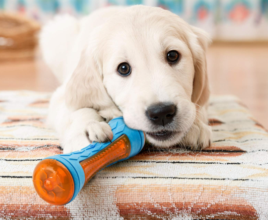 Fami Petcare Interactive Toys