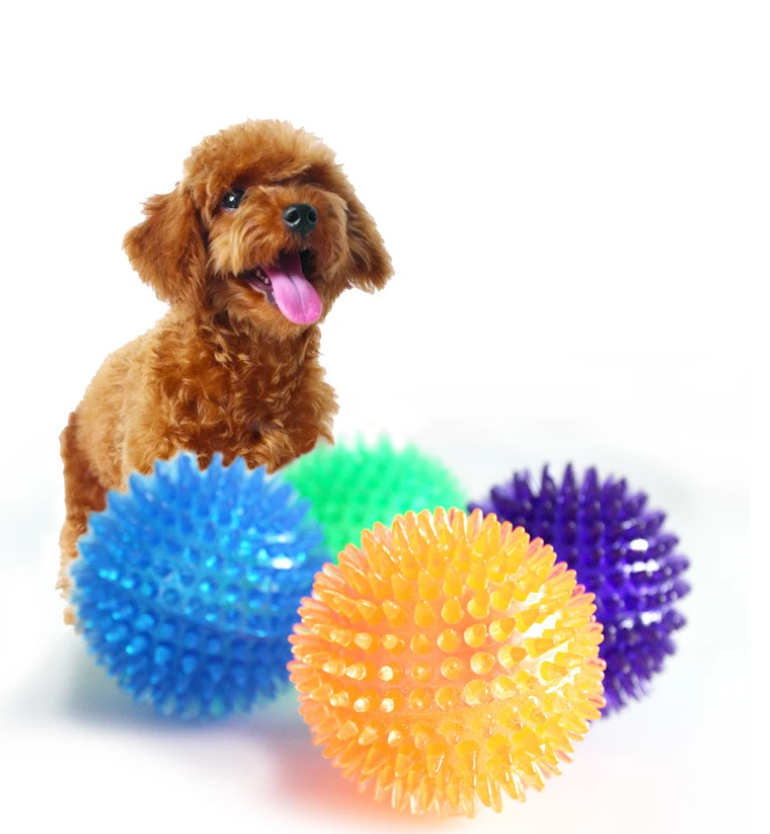 Fami Petcare Spiky Squeaker Ball
