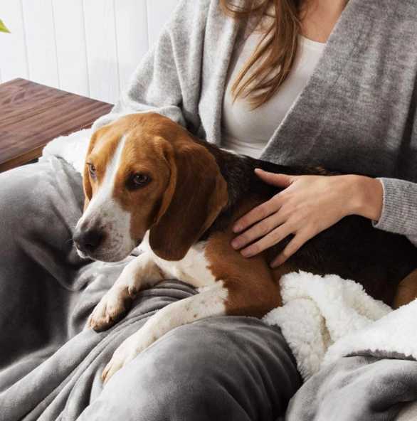 Fami Petcare Waterproof Dog Blanket