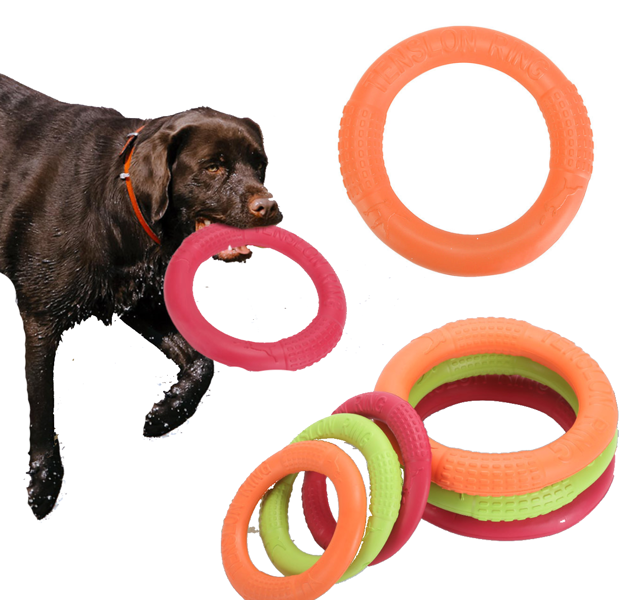 Fami Petcare Ring Toy