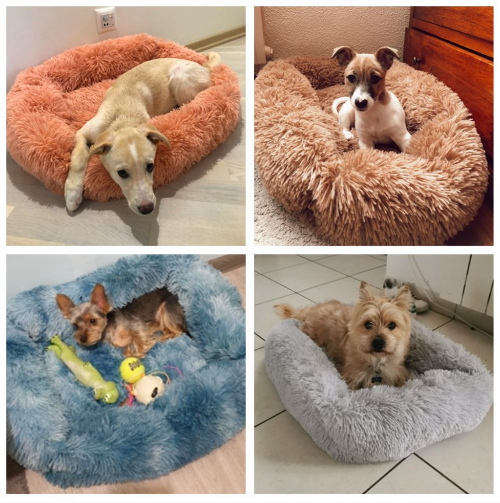Fami Petcare Plush Bed