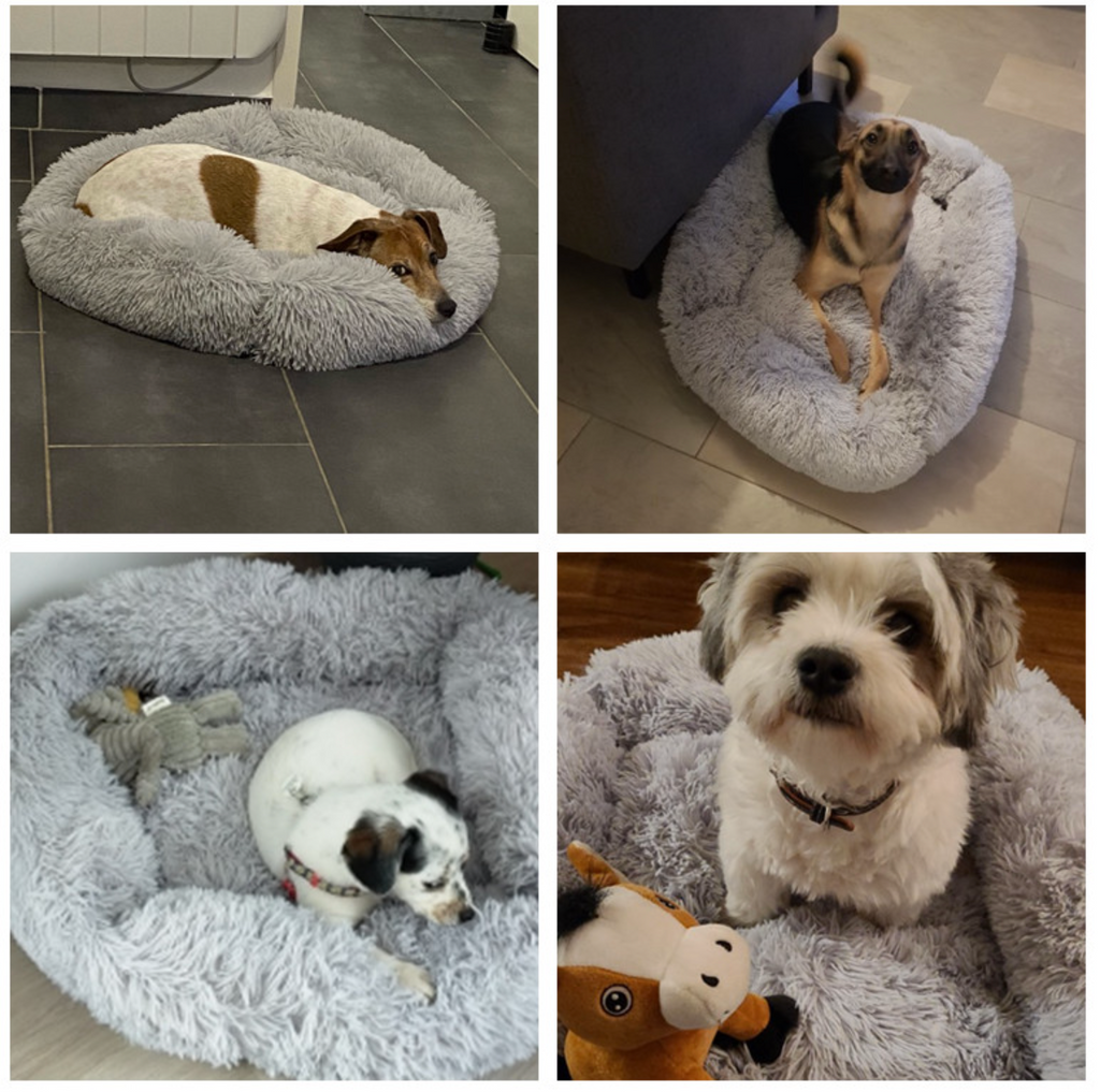 Fami Petcare Plush Bed