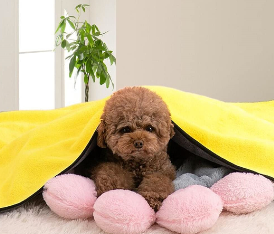 Fami Petcare Quick Dry Towel