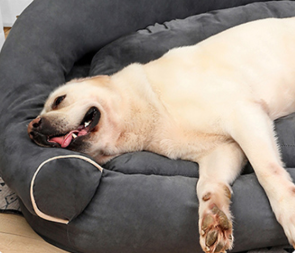 Fami Petcare Deep Sleeper Bed