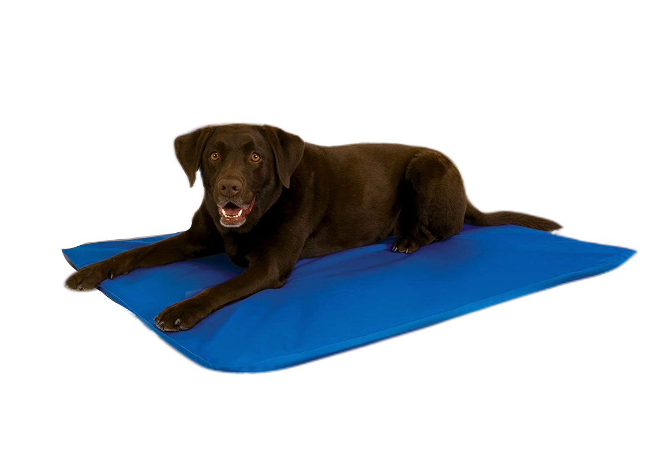 Fami Petcare Cooling Gel Pad