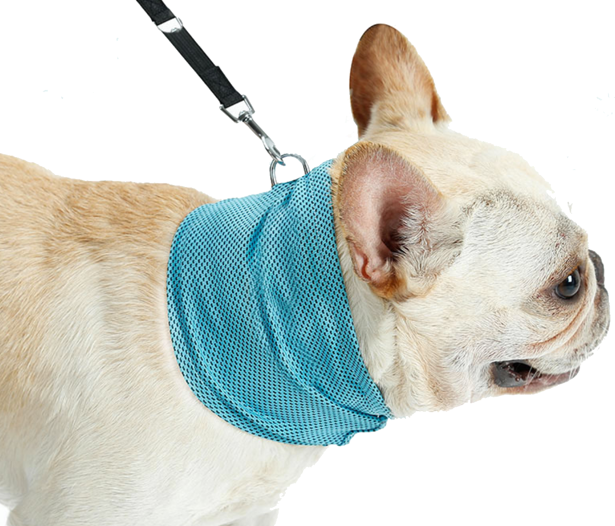 Fami Petcare Cooling Neck Wrap