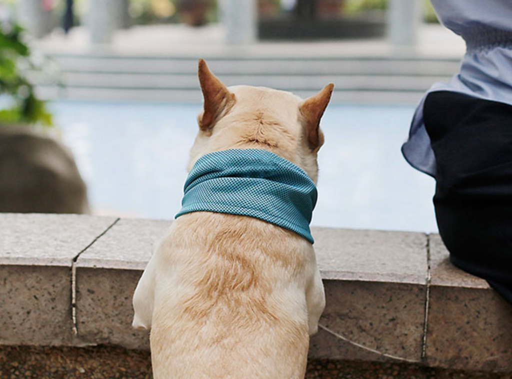Fami Petcare Cooling Neck Wrap