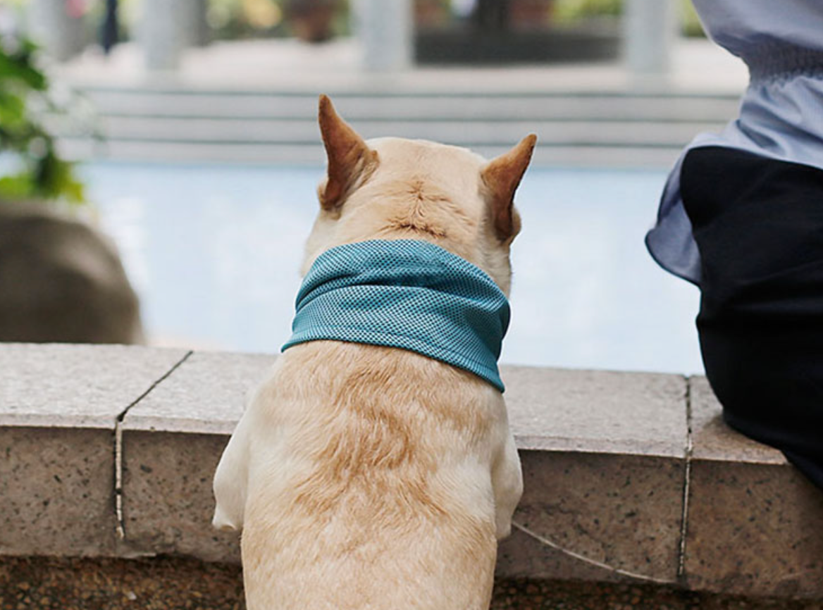 Fami Petcare Cooling Neck Wrap