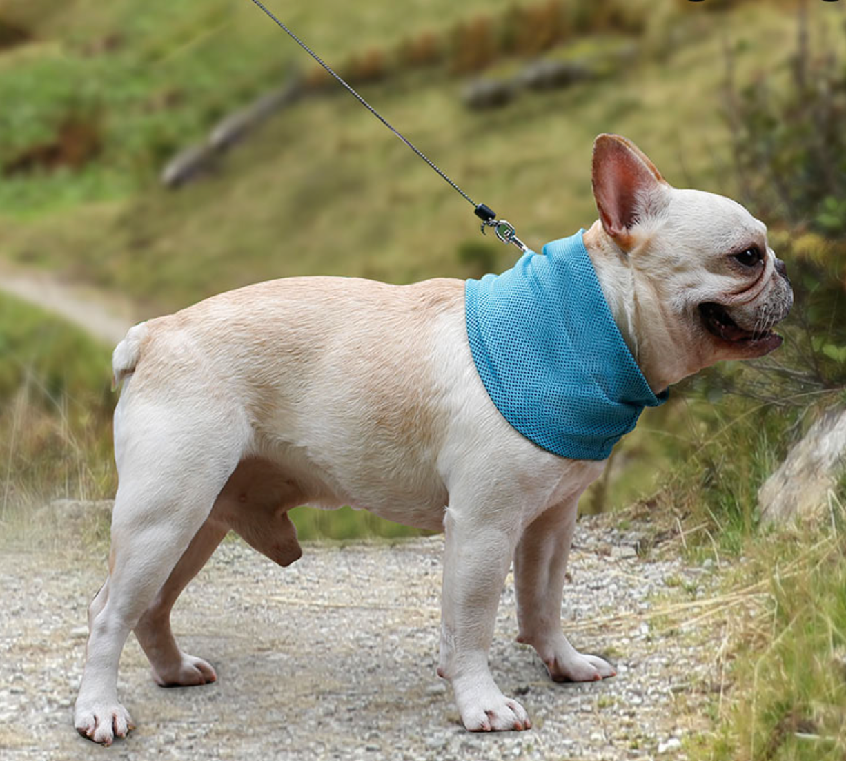 Fami Petcare Cooling Neck Wrap