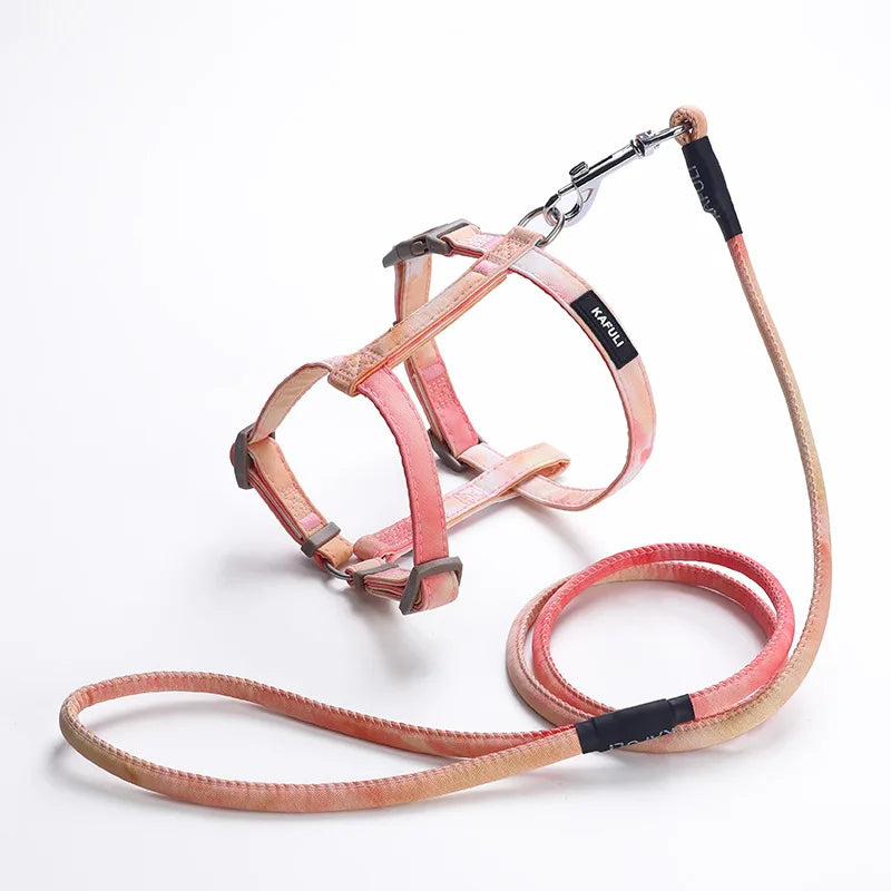 Gradient Cat & Small Dog Harness Set