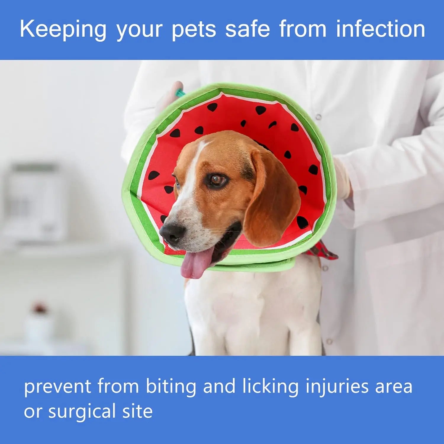 Lightweight Dog Elizabethan Collar