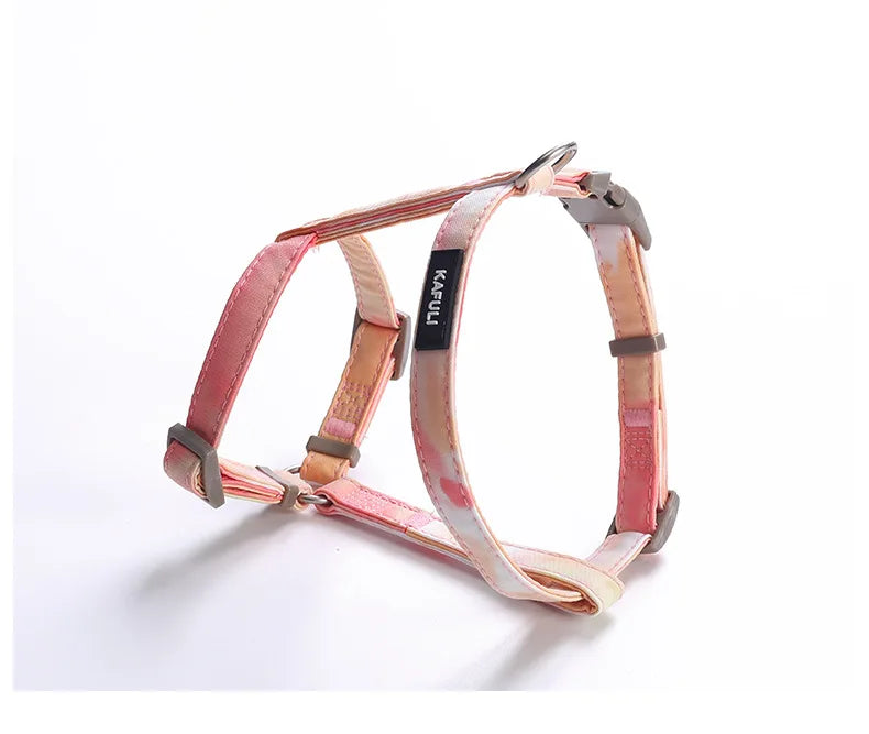 Gradient Cat & Small Dog Harness Set
