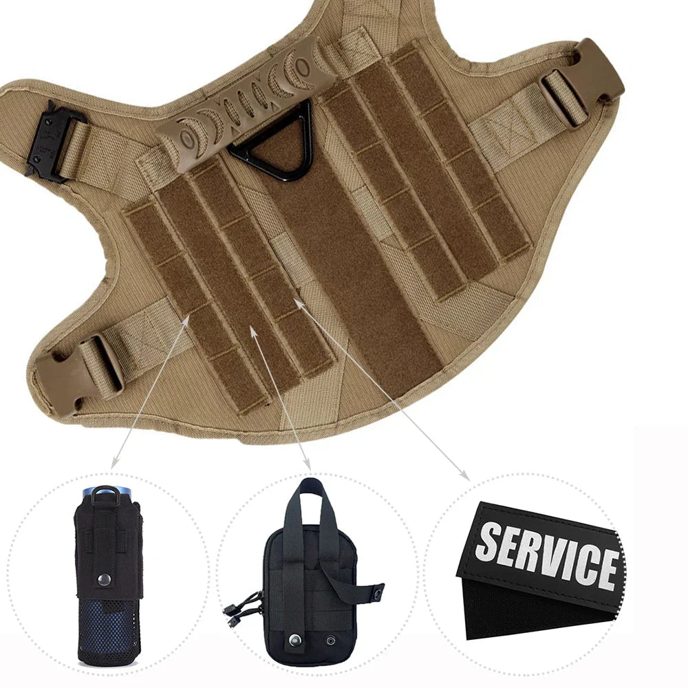 Large Dog Harness and Leash Set