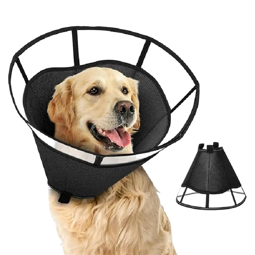 Dog Recovery Cone