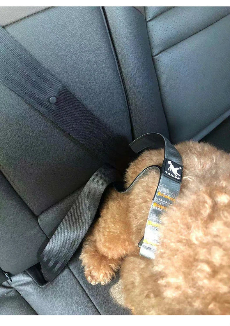 Short Dog Leash
