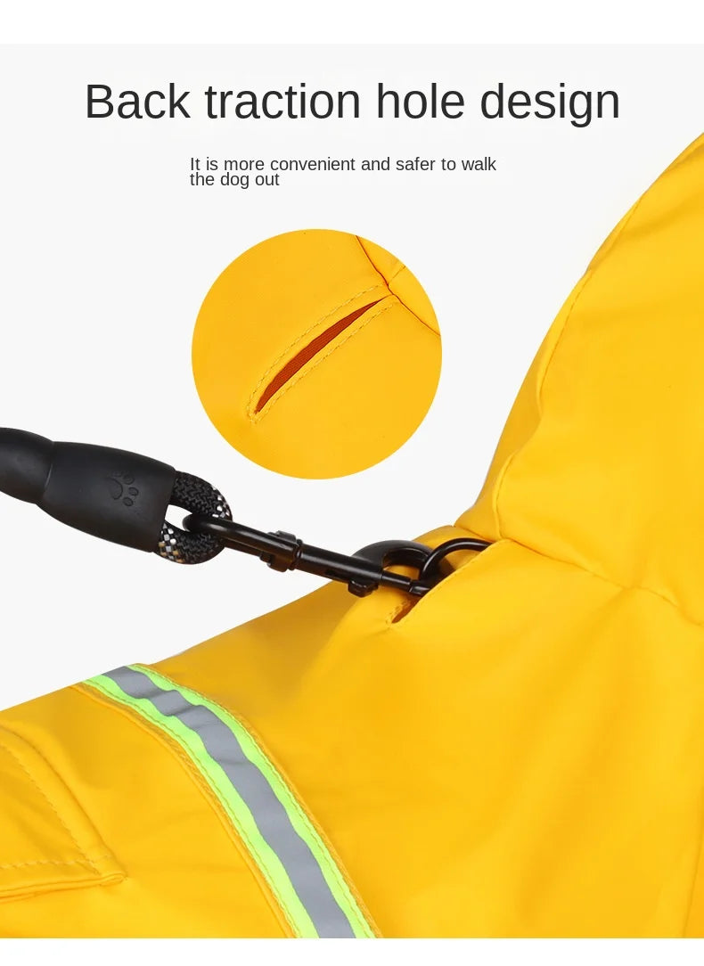Big Dog raincoat