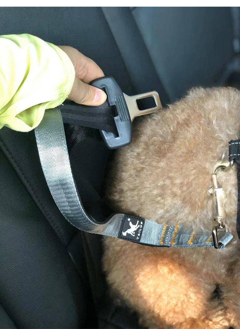 Short Dog Leash