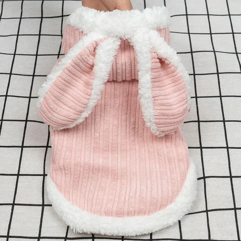 Warm Winter Clothes for Kittens