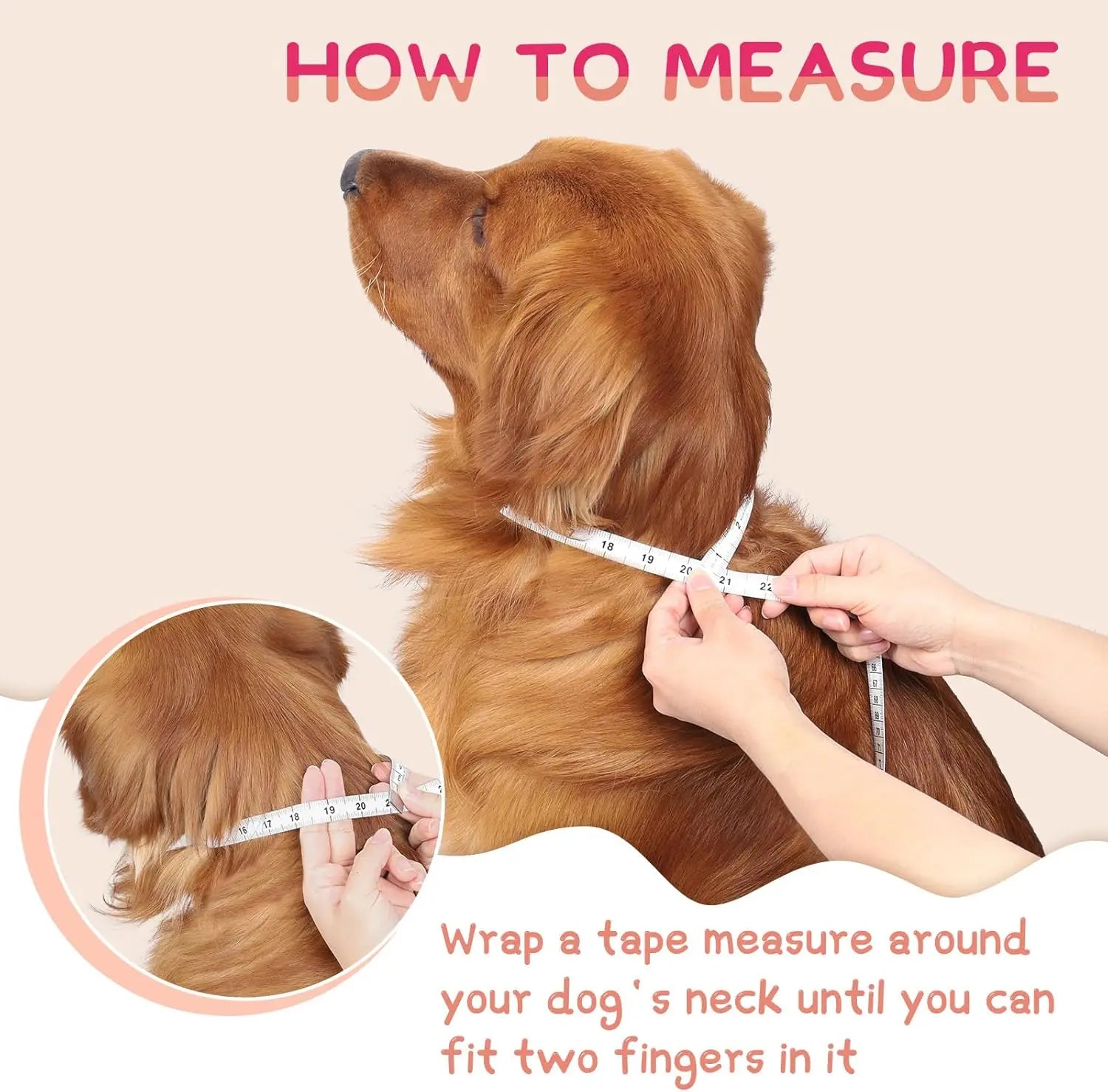 Inflatable Dog Cone