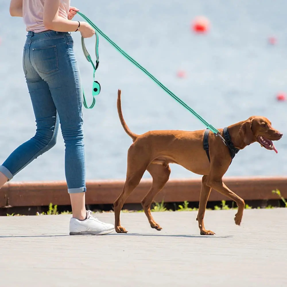 Dog Leash Reflective Nylon Pet Running Tracking Leashes