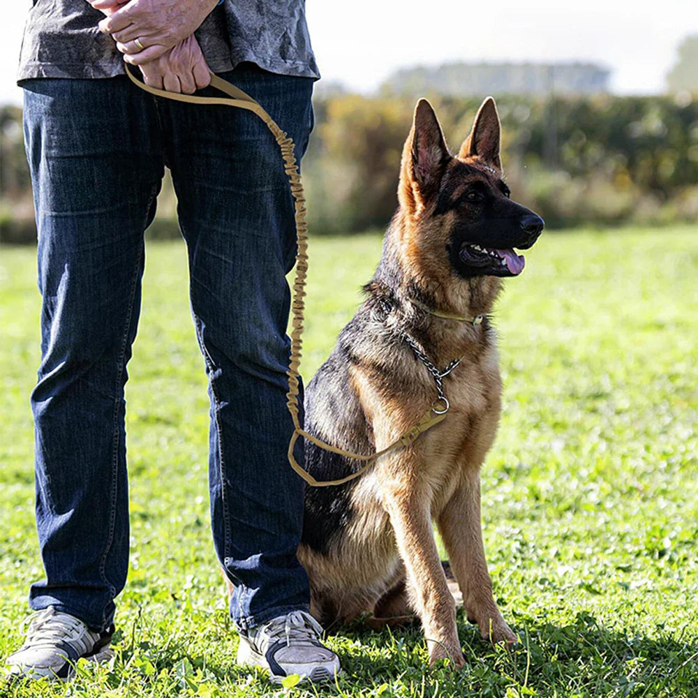 Military Dog Leashes