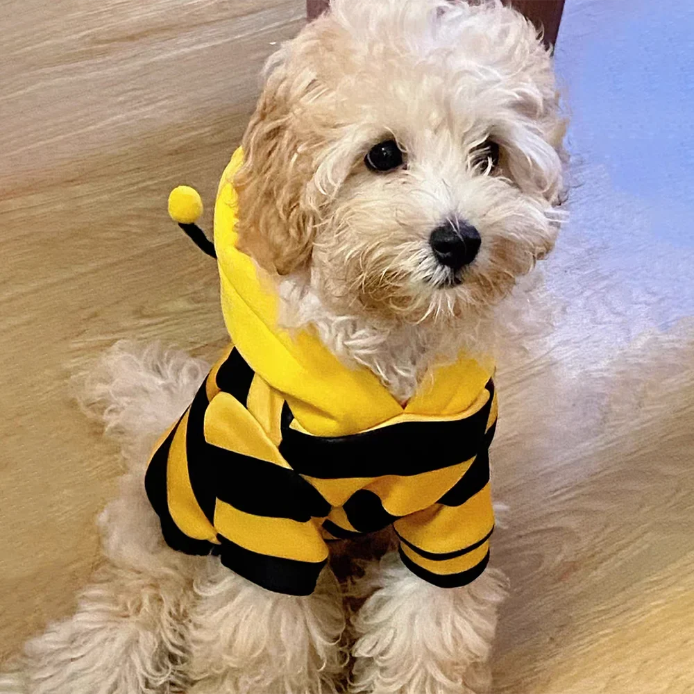 Bee Pet Puppy Coat Apparel Outfit