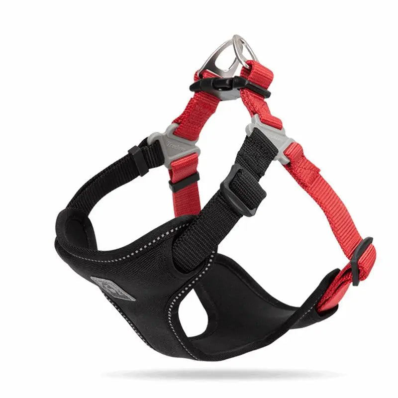 Comfortable Step In Dog Harness – Easy and Safe for Your Dog