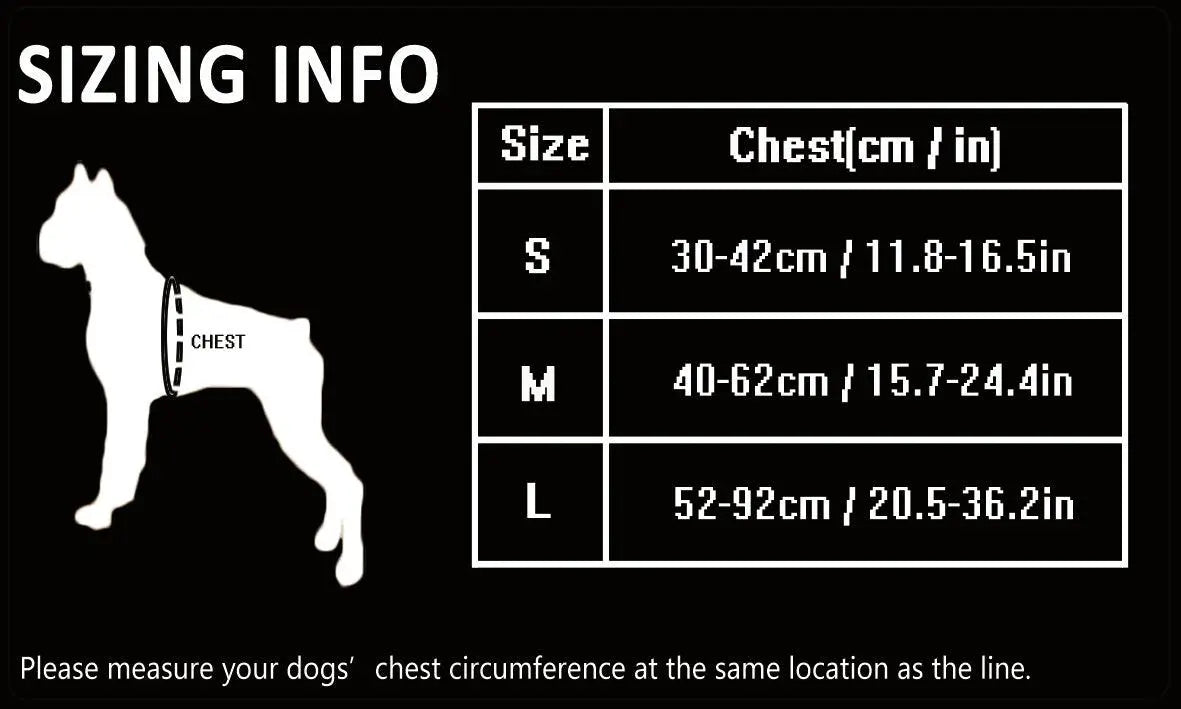 Comfortable Step In Dog Harness – Easy and Safe for Your Dog